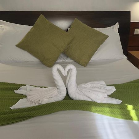 Romalive Hotel المظهر الخارجي الصورة